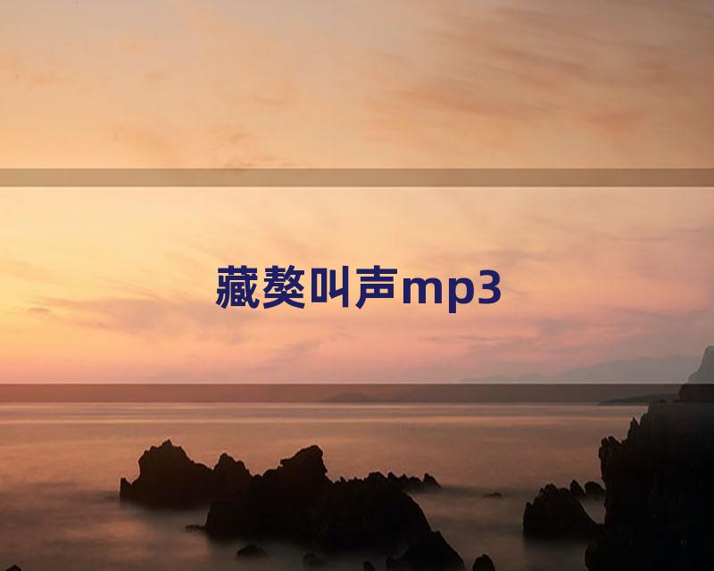 藏獒叫声mp3