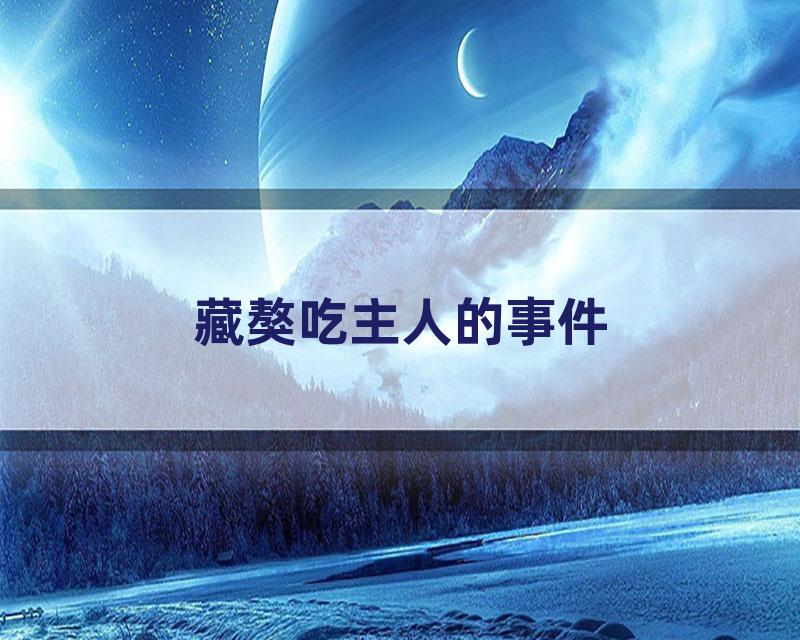 藏獒吃主人的事件