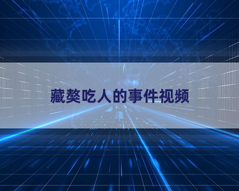 藏獒吃人的事件视频