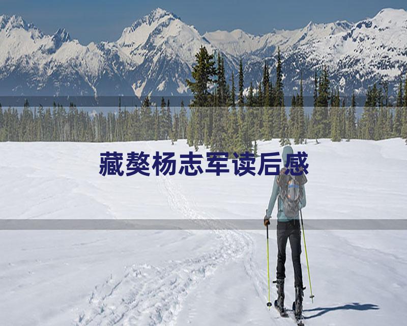 藏獒杨志军读后感