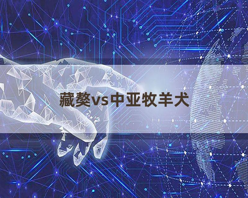 藏獒vs中亚牧羊犬