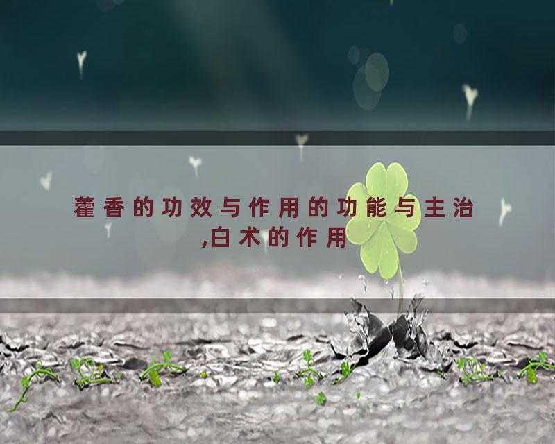 藿香的功效与作用的功能与主治,白术的作用