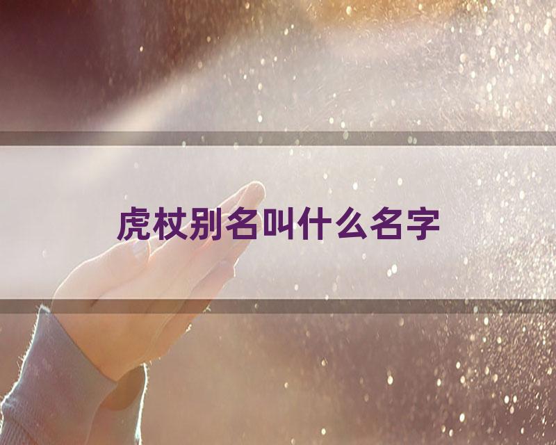 虎杖别名叫什么名字