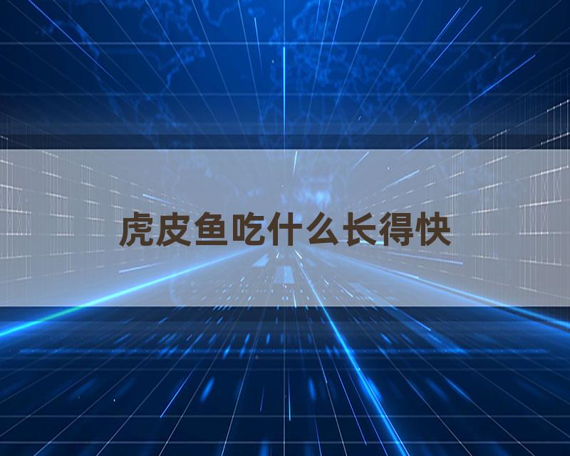 虎皮鱼吃什么长得快