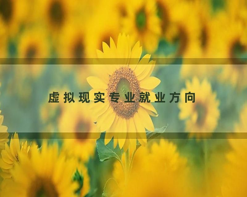 虚拟现实专业就业方向