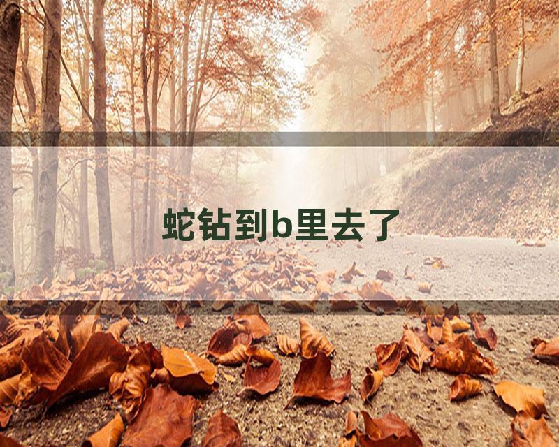 蛇钻到b里去了