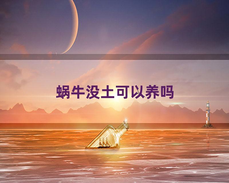 蜗牛没土可以养吗