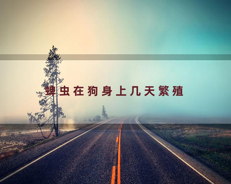 蜱虫在狗身上几天繁殖