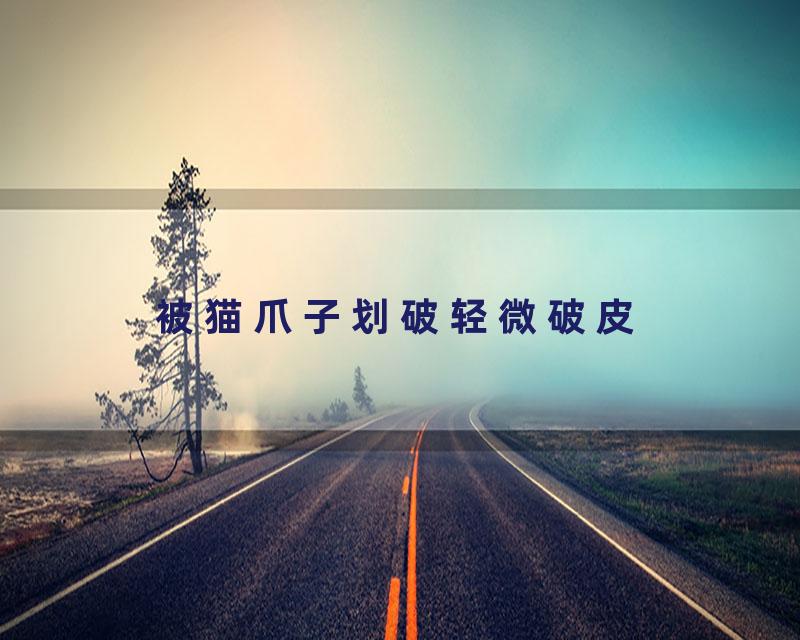 被猫爪子划破轻微破皮