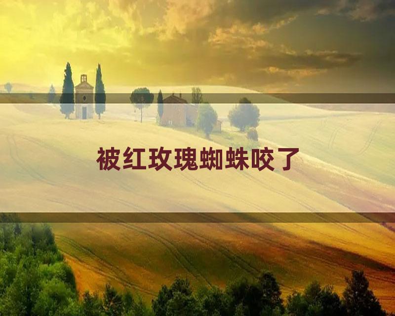 被红玫瑰蜘蛛咬了