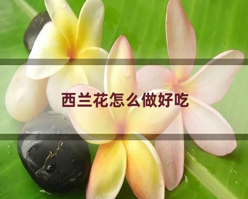 西兰花怎么做好吃