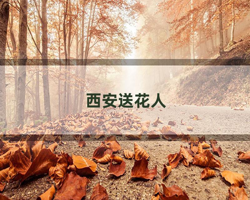 西安送花人