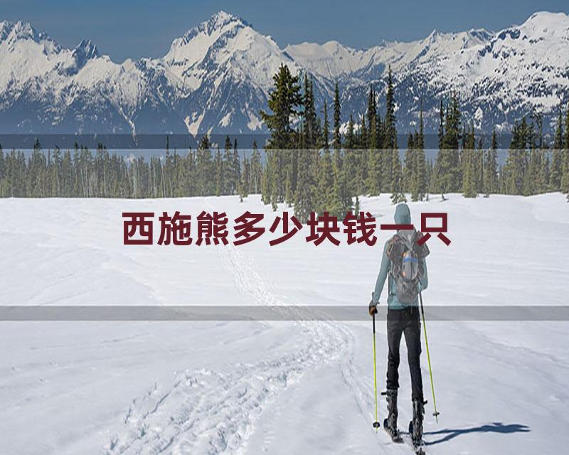 西施熊多少块钱一只