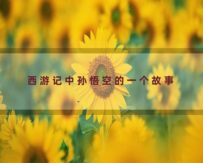 西游记中孙悟空的一个故事