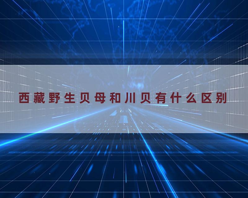 西藏野生贝母和川贝有什么区别