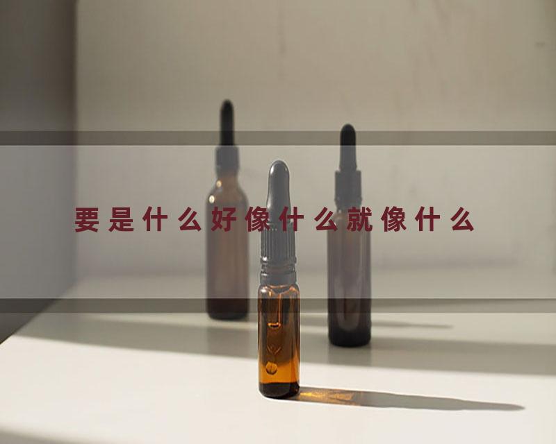 要是什么好像什么就像什么