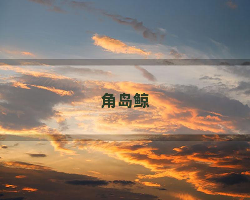 角岛鲸