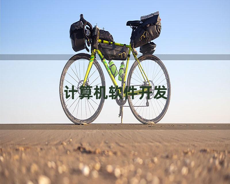计算机软件开发