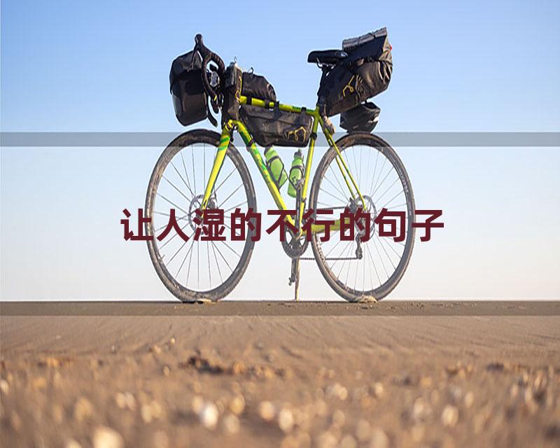 让人湿的不行的句子