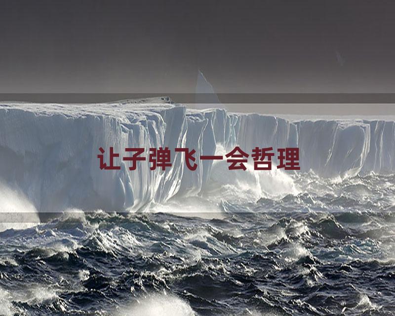 让子弹飞一会哲理