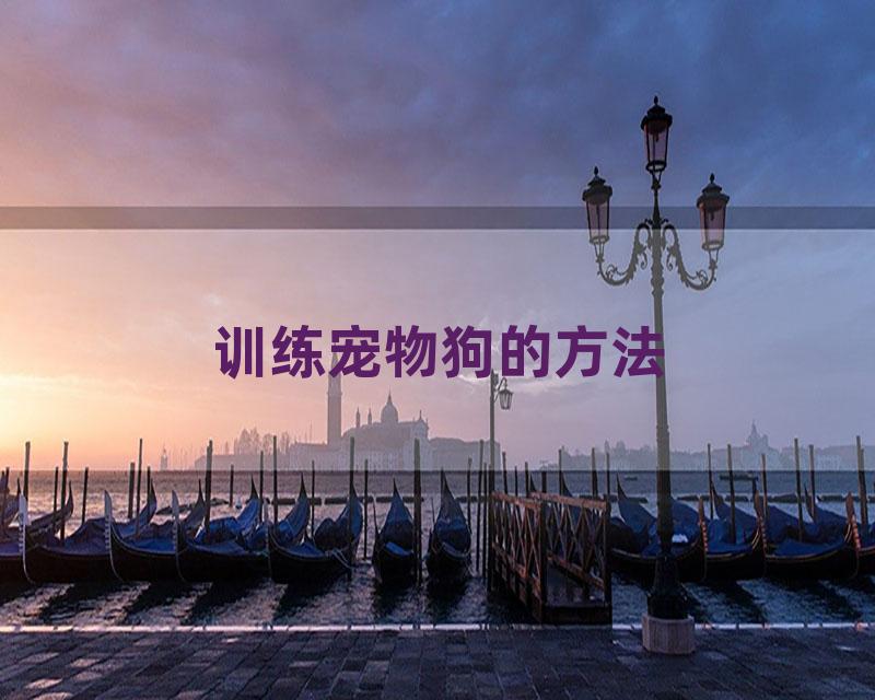 训练宠物狗的方法