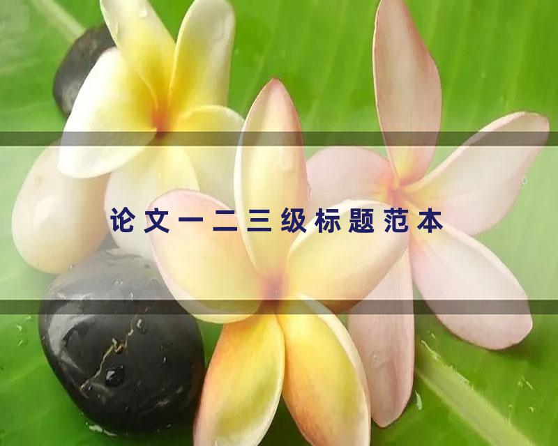 论文一二三级标题范本