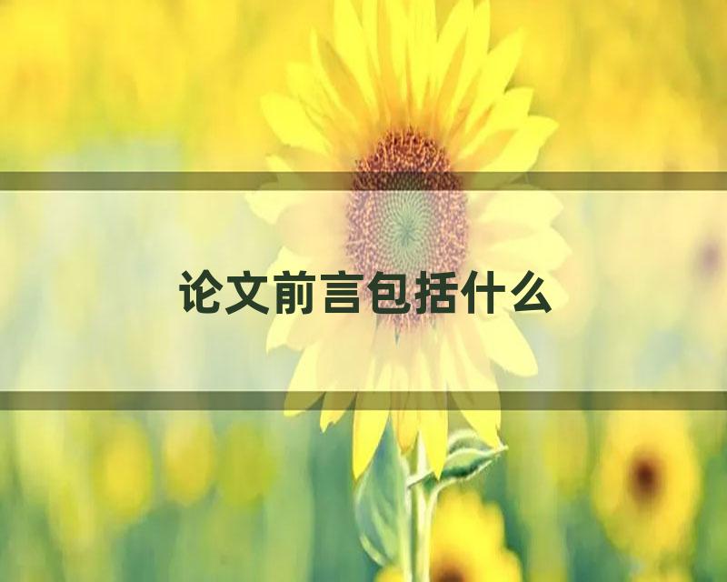 论文前言包括什么