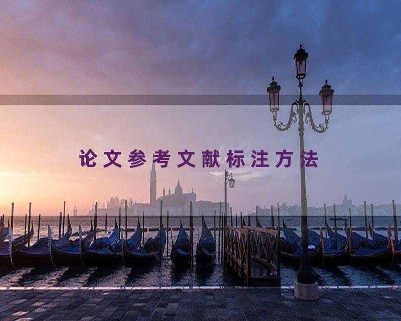 论文参考文献标注方法
