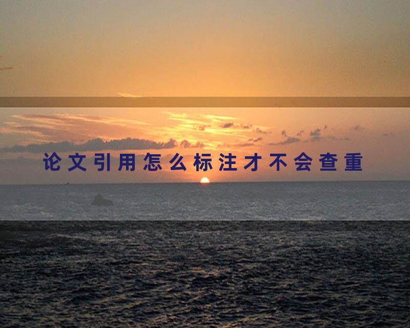 论文引用怎么标注才不会查重