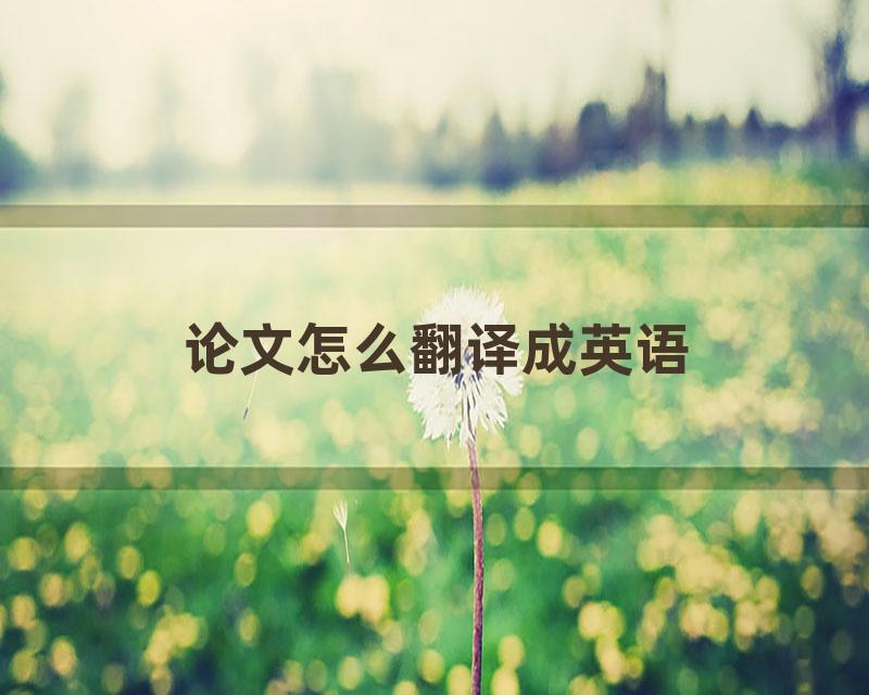 论文怎么翻译成英语