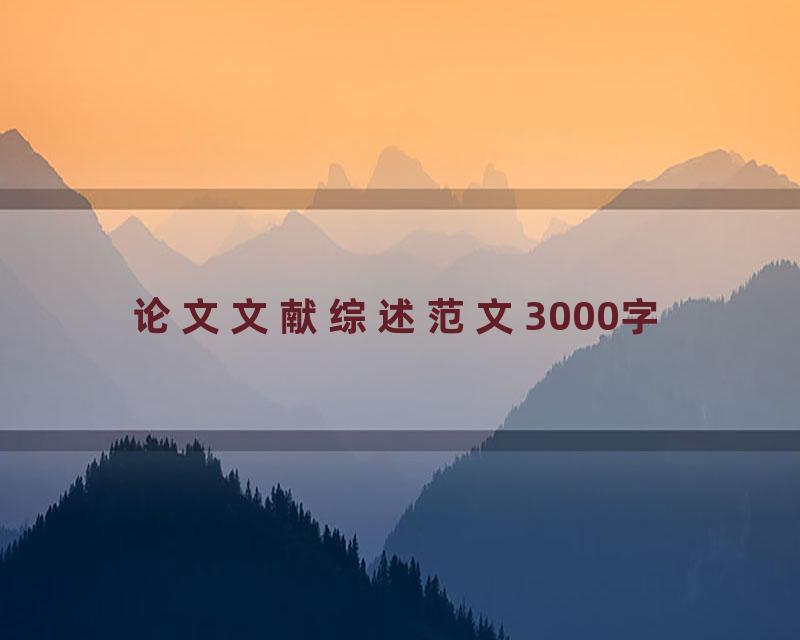 论文文献综述范文3000字