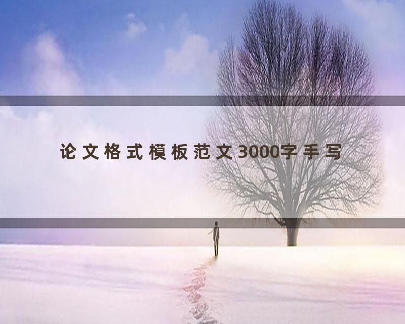 论文格式模板范文3000字手写