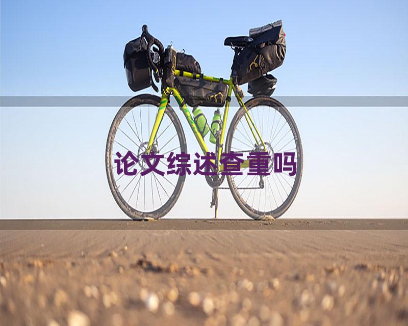 论文综述查重吗
