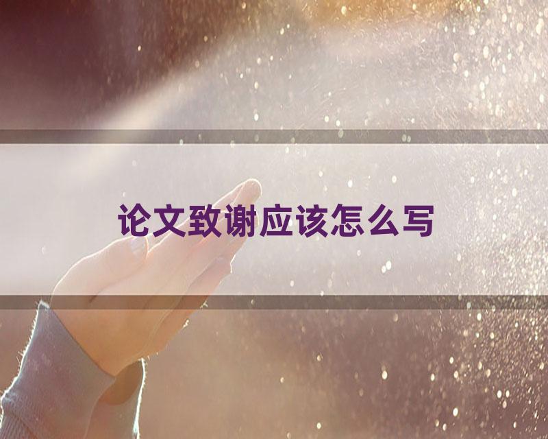 论文致谢应该怎么写