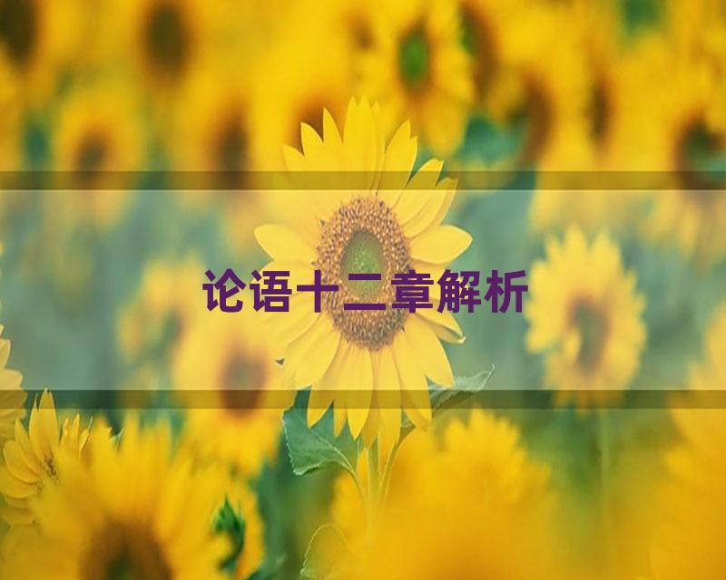 论语十二章解析