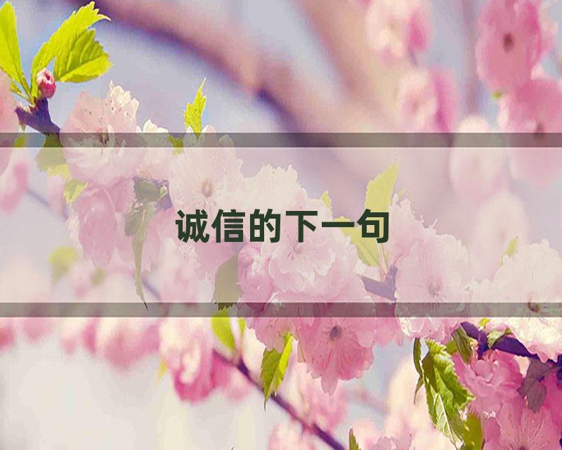 诚信的下一句