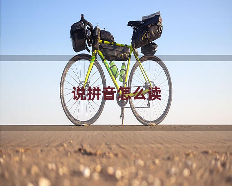 说拼音怎么读