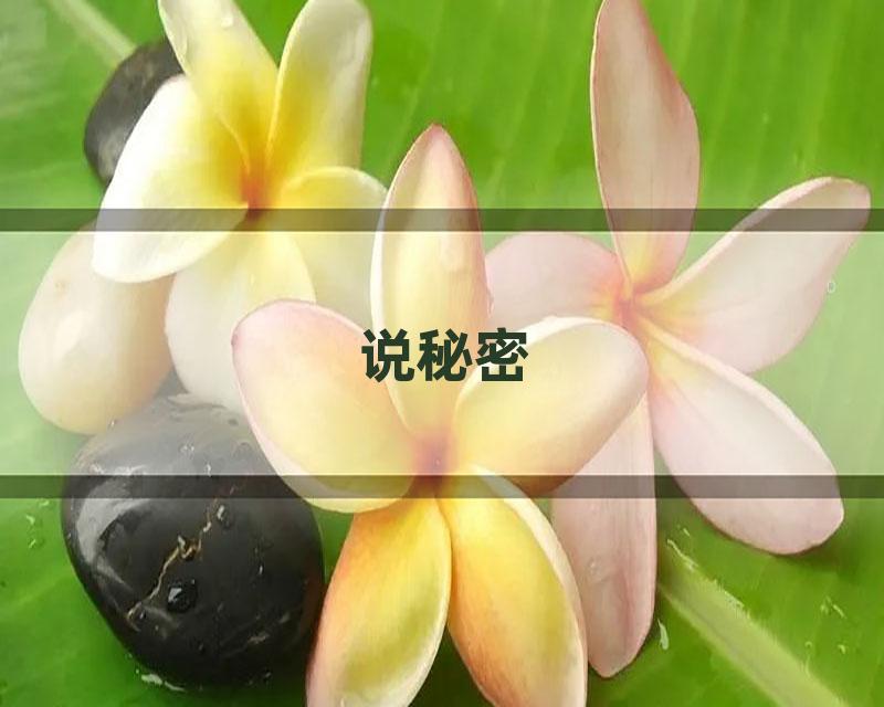 说秘密