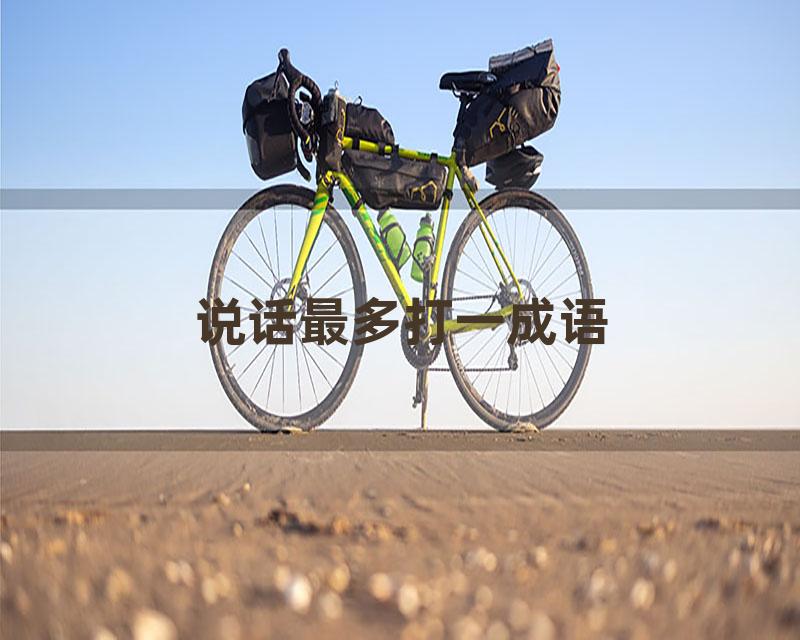 说话最多打一成语