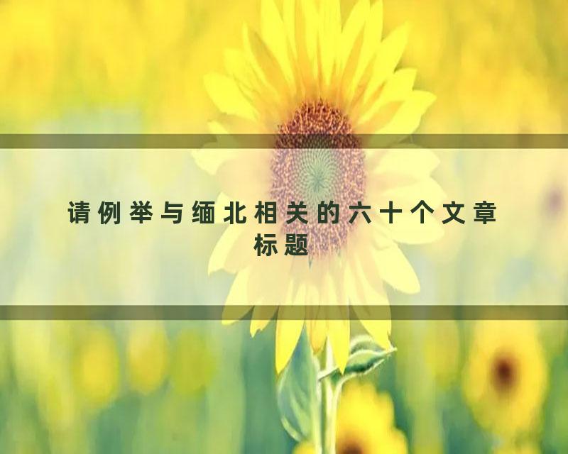 请例举与缅北相关的六十个文章标题