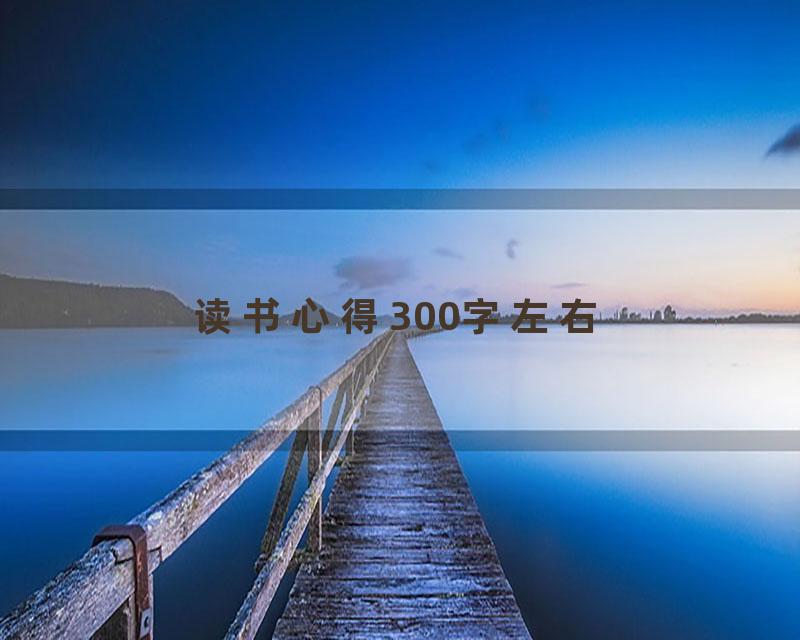 读书心得300字左右