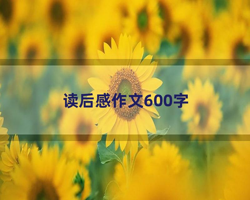 读后感作文600字
