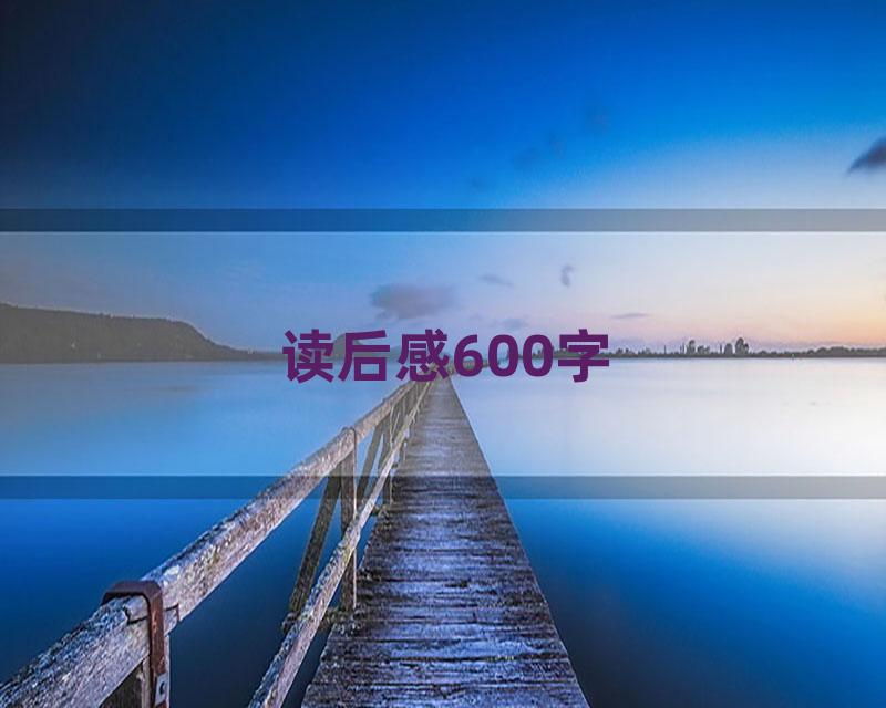 读后感600字