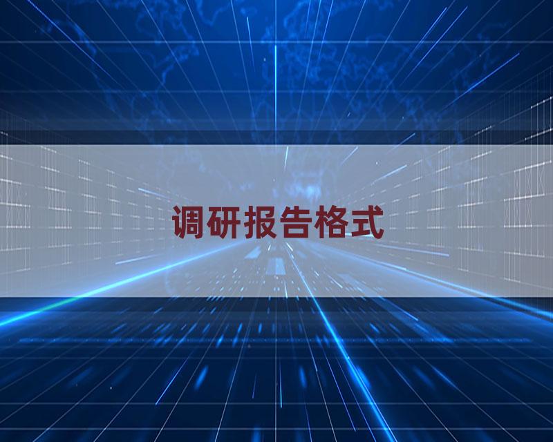 调研报告格式