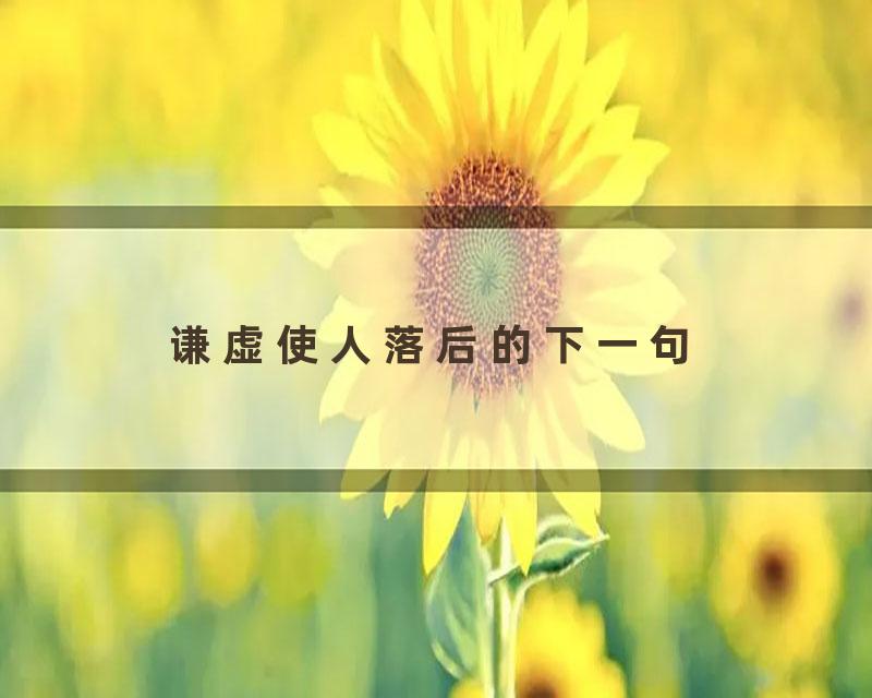 谦虚使人落后的下一句