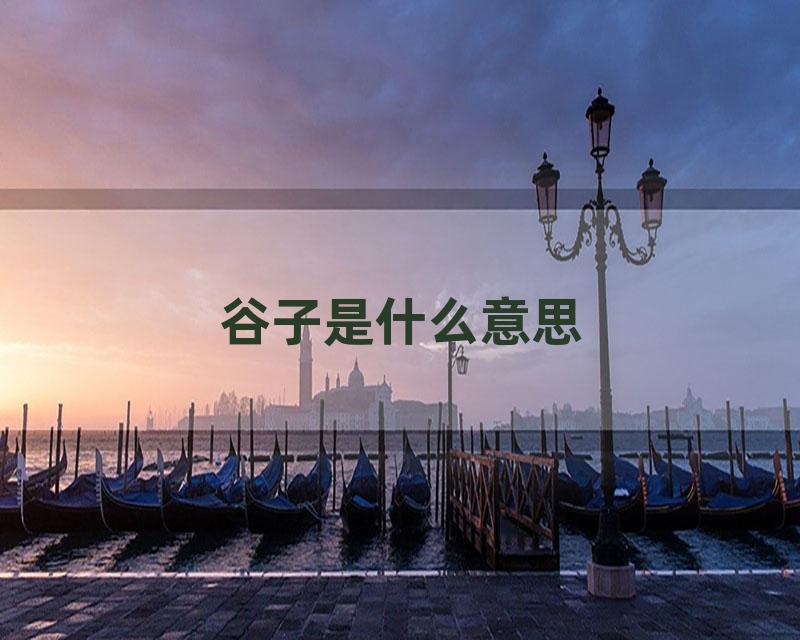 谷子是什么意思