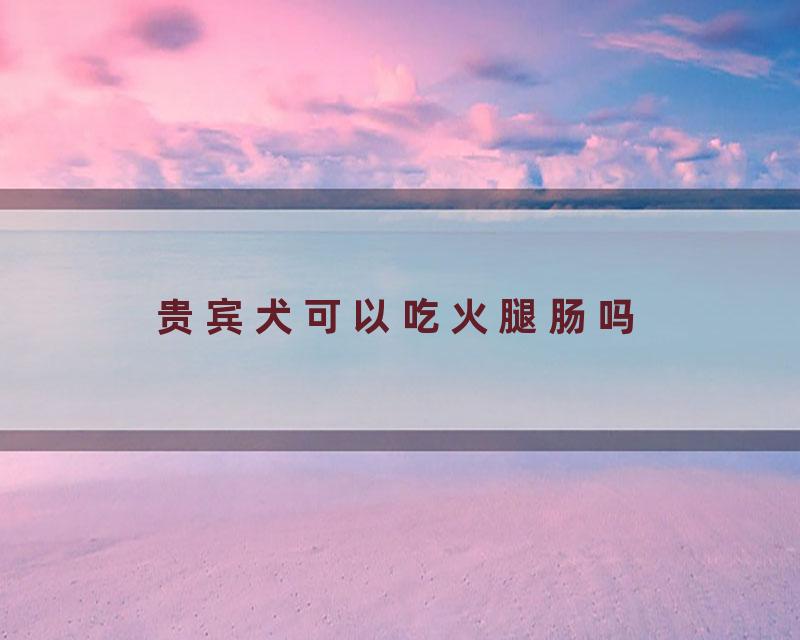 贵宾犬可以吃火腿肠吗