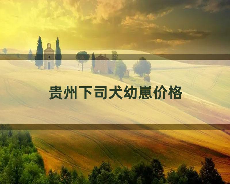 贵州下司犬幼崽价格