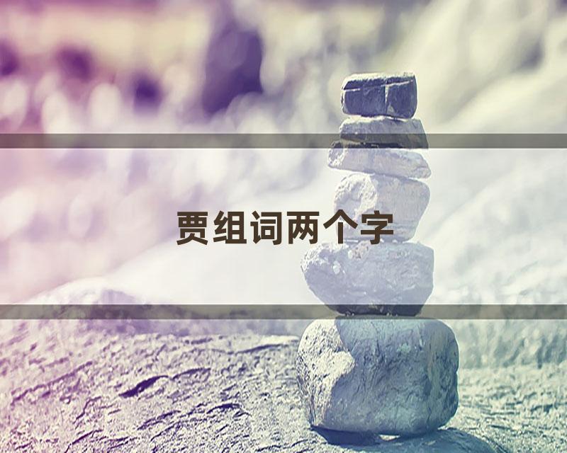 贾组词两个字