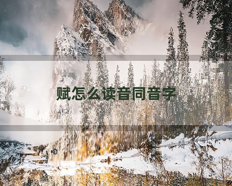 赋怎么读音同音字